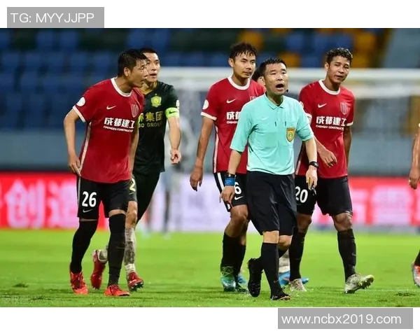 成都排球队战术引发热议球迷与专家观点大碰撞