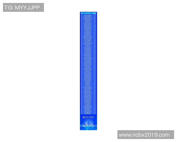 深圳排球队在全国排球耐力排行榜中荣获第五名展现出强大实力与潜力