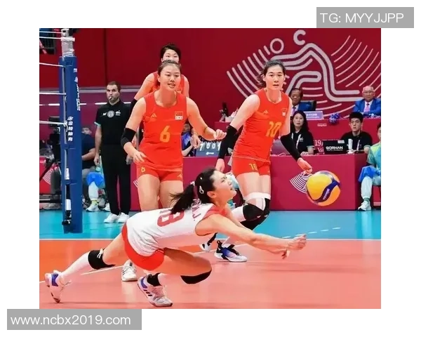 排球评论：杭州排球队的运营得失